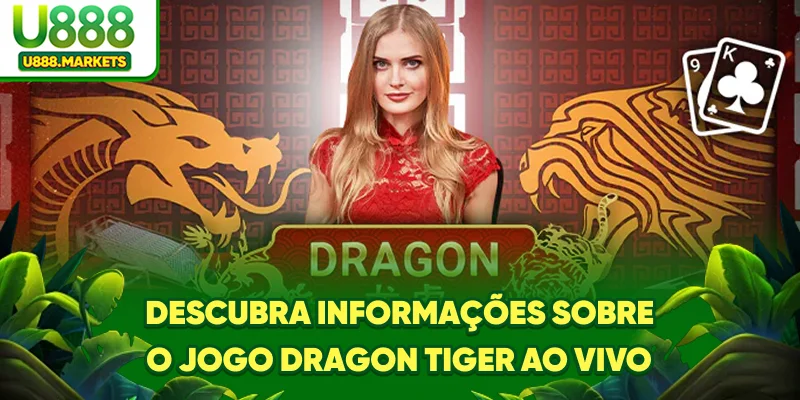 descubra-informaoes-sobre-o-jogo-dragon-tiger-ao-vivo