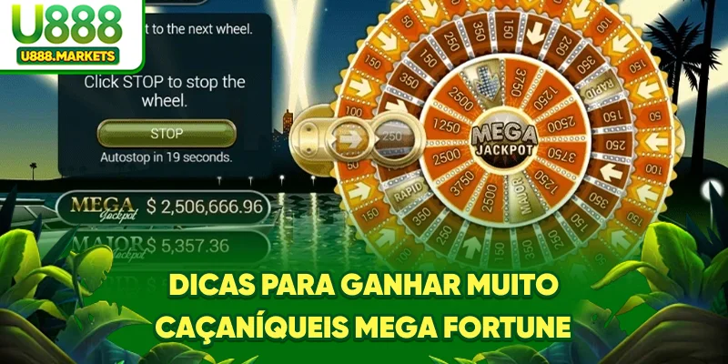 dicas-para-ganhar-muito-caaniqueis-mega-fortune