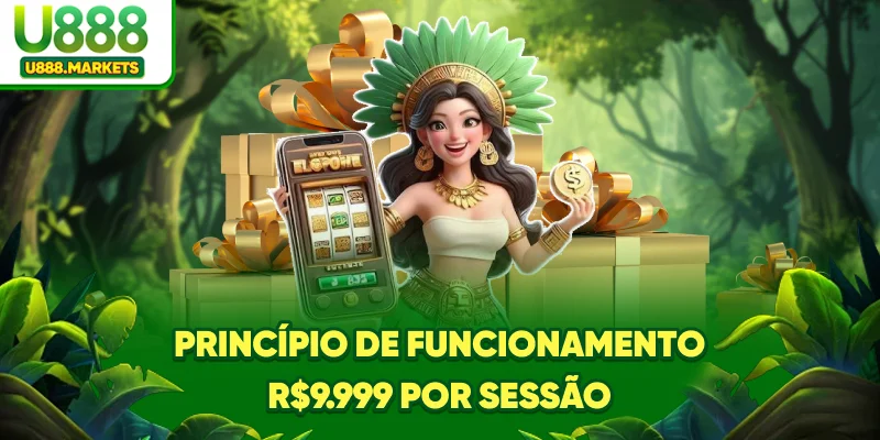 principio-de-funcionamento-r9999-por-sessao